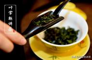 铁观音茶的基本信息是什么？它是红茶还是绿茶？